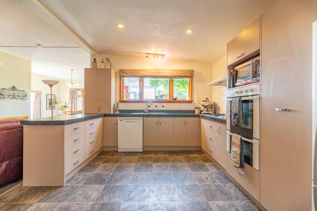 65 Springfield Road Totara_1