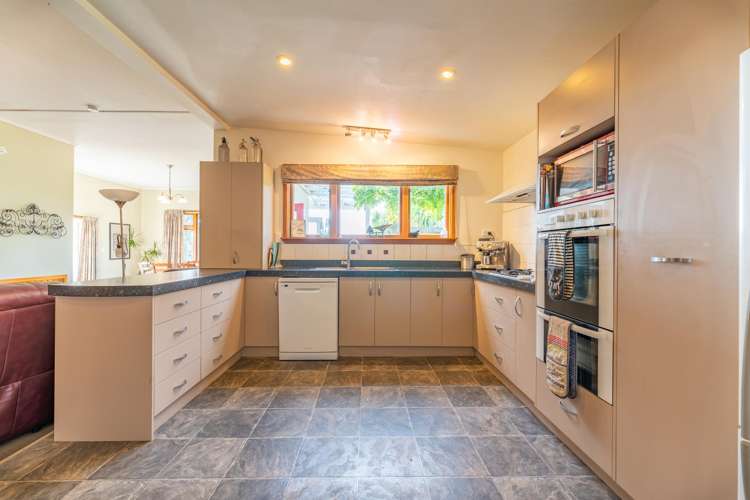 65 Springfield Road Totara_1