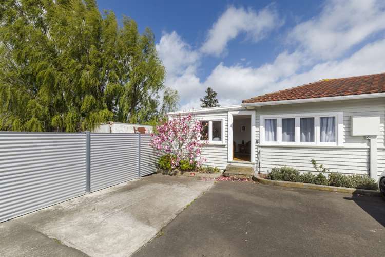 451 Kairanga Bunnythorpe Road Bunnythorpe_22