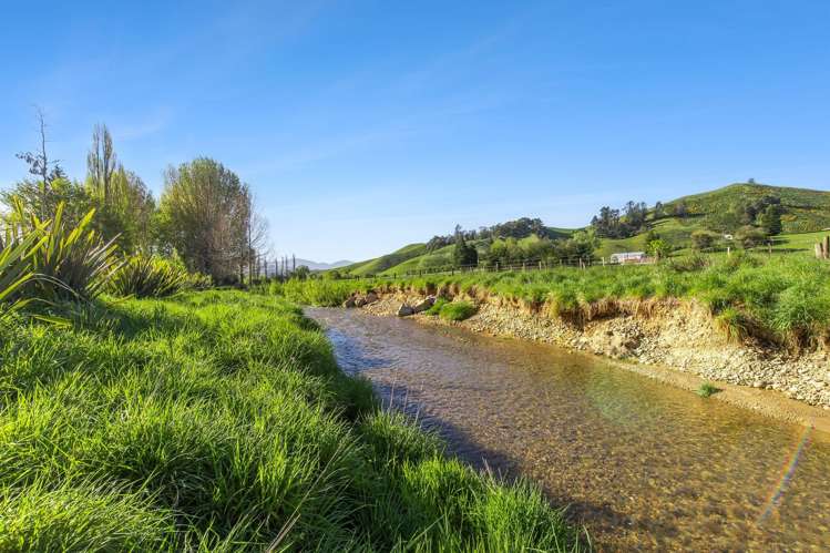 103 Win Valley Road Dovedale_22