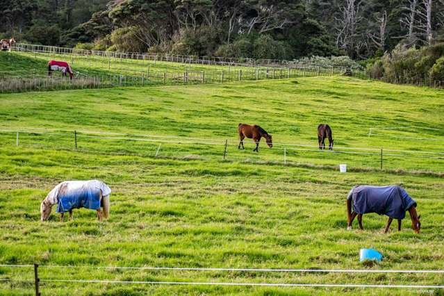 68 Hamilton Road Waimauku_2