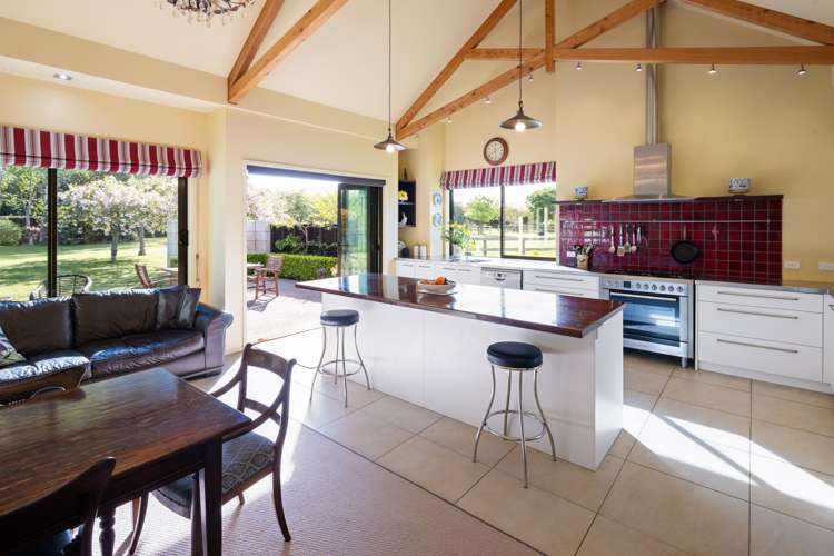 441C Marychurch Road Matangi_17