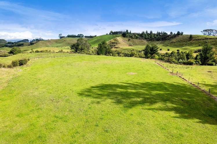 402 Hursthouse Road Tarurutangi_34