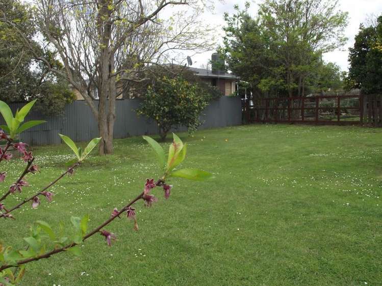41 Bank Street Morrinsville_12