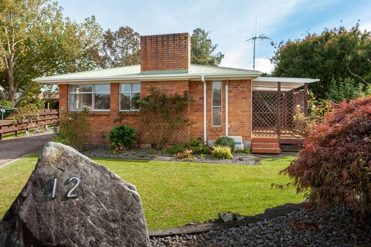12 Sim Street Matamata_2
