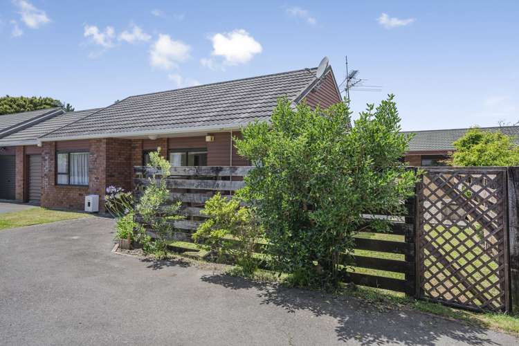 37b Heretaunga Street Petone_21