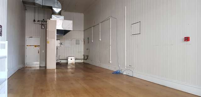 164 Hobson Street Auckland Central_1