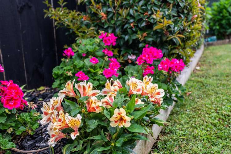 16 Simons Street Kensington_9