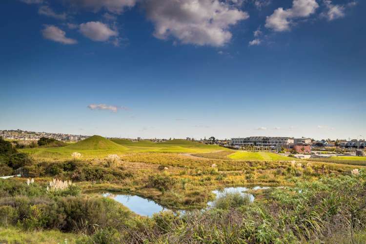 10 Frank Bunce Grove Flat Bush_19