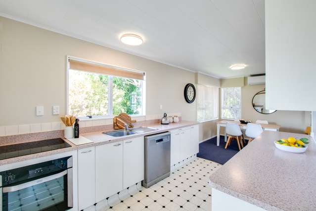 28 Argyll Crescent Tamatea_1