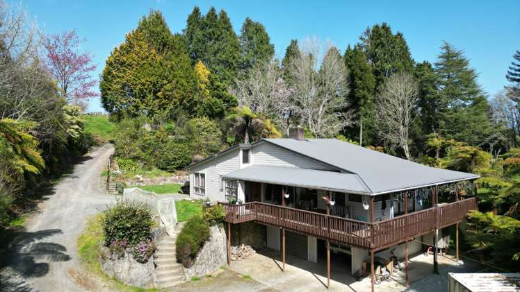 953 State Highway 3 Piopio_9