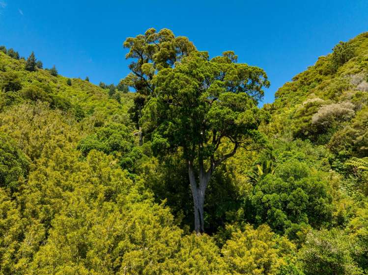 185 Kanuka Rise Wakapuaka_9