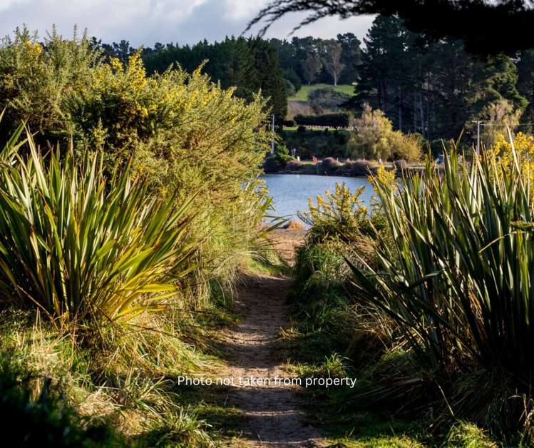 369 Brighton Road Waldronville_22