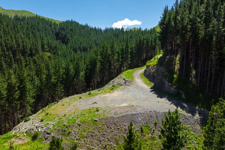 Waihopai Valley Road Waihopai Valley_14