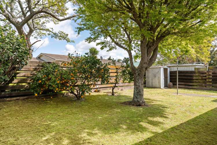 4B Ngarimu Place Mt Maunganui_13