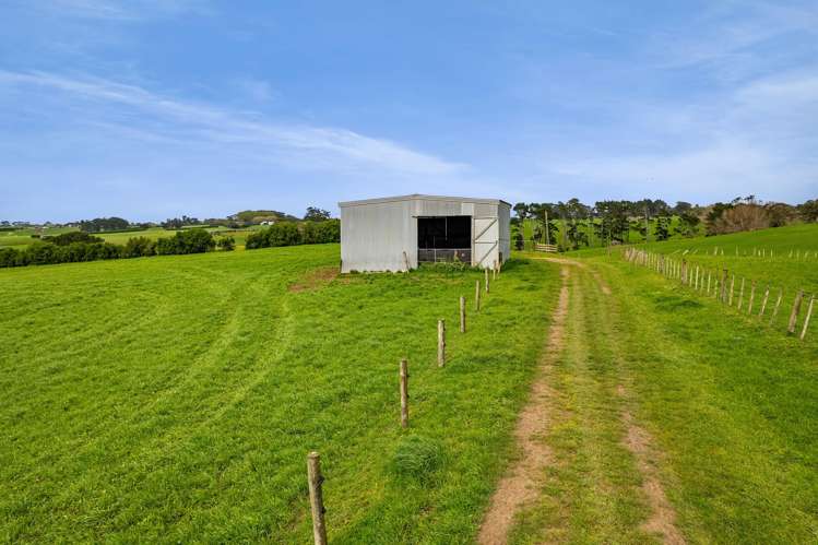 2A Ropata Street Hawera_19