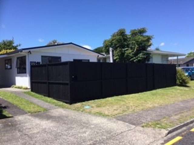 50A Matavai Street 11229_1