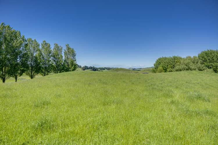 2412 Kahuranaki Road Elsthorpe_6