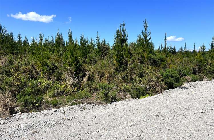 Keogans Road Arahura Valley_1