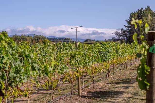 46 Waipipi Road Opaki_2