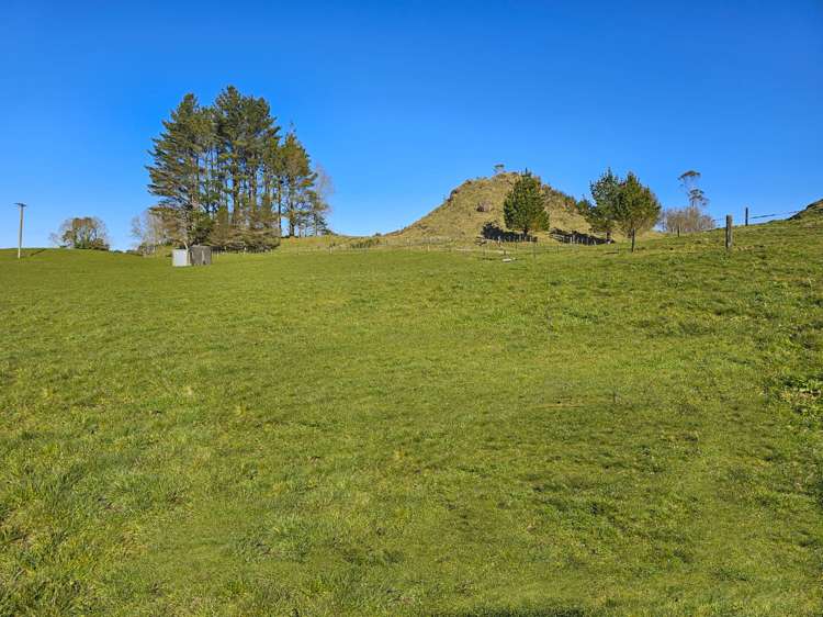 162 Amoore Road Hamurana_2