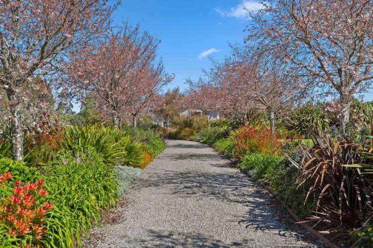 45 Governors Green Drive Greytown_1