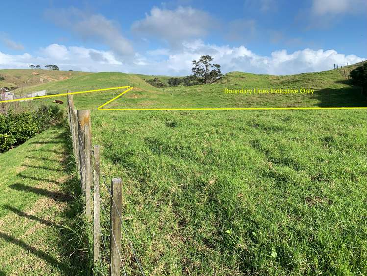 1339 South Head Road South Head_36