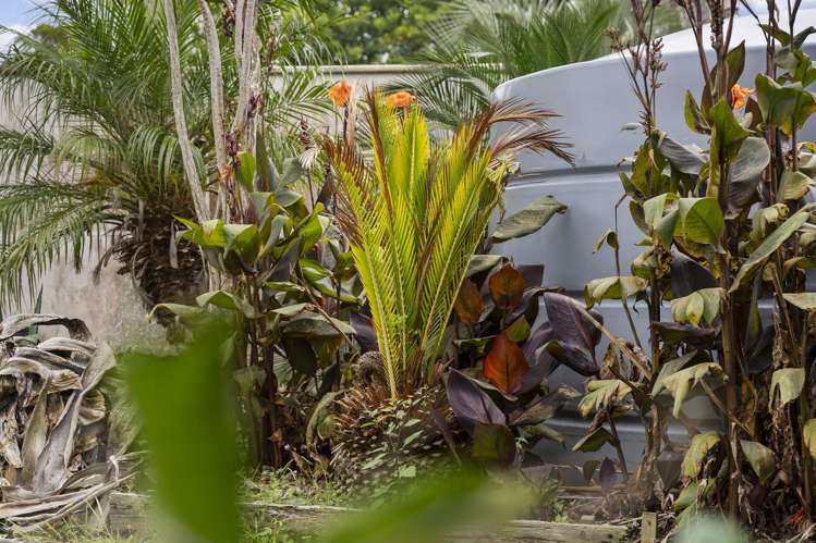 83 Second View Avenue Beachlands_13