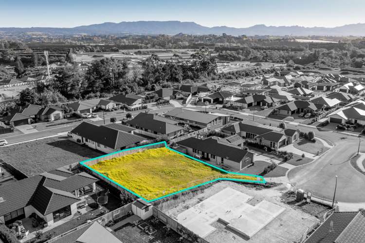 6 Madeleine Place Omokoroa_7