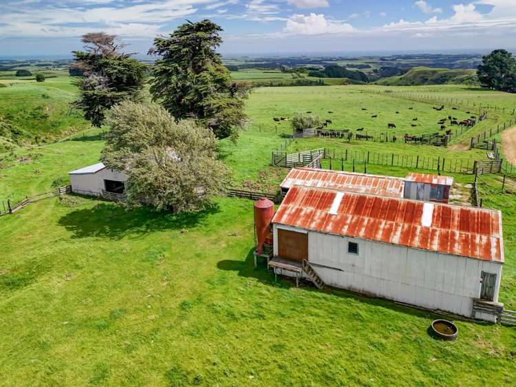 1173 Karahaki Road Waverley_22