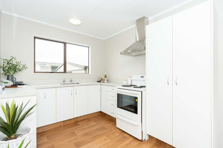 51a Primrose Street Frankton_5