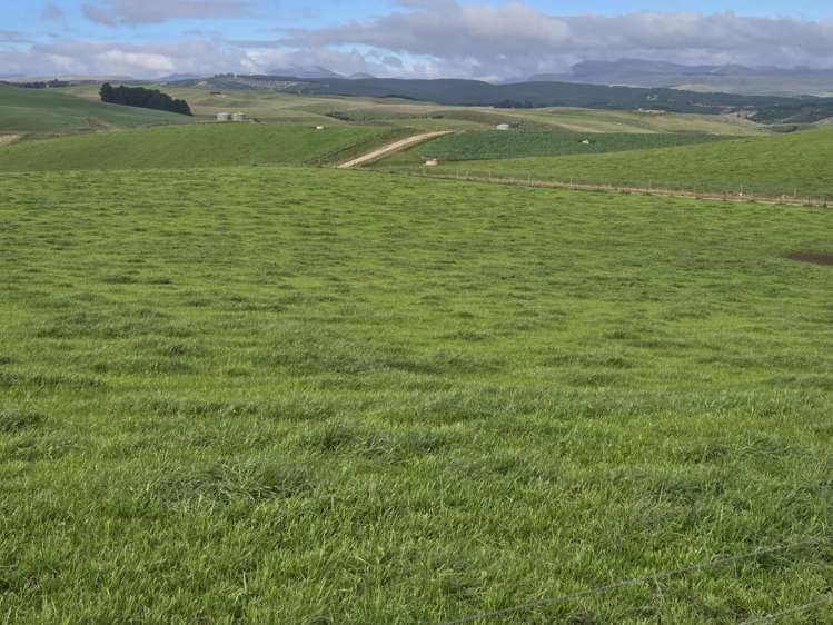 22 Tokarahi-Duntroon Road Tokarahi_15