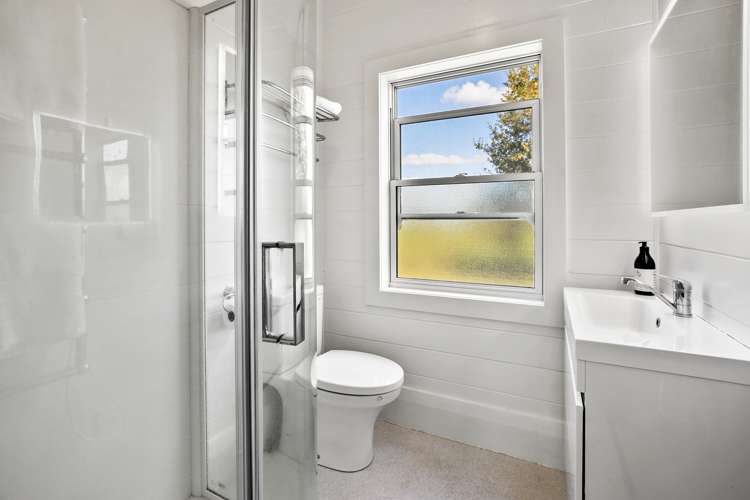 168b Bush Road Pipiroa_16