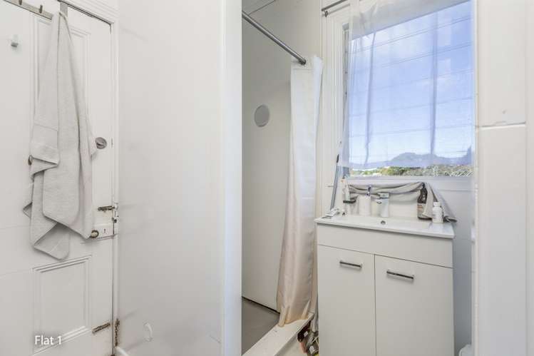 22 Walters Road Mount Eden_7