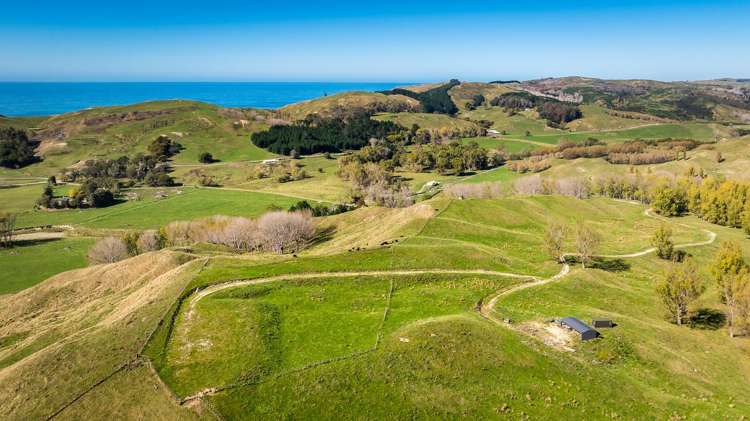 56 Nilsson Road Elsthorpe_4