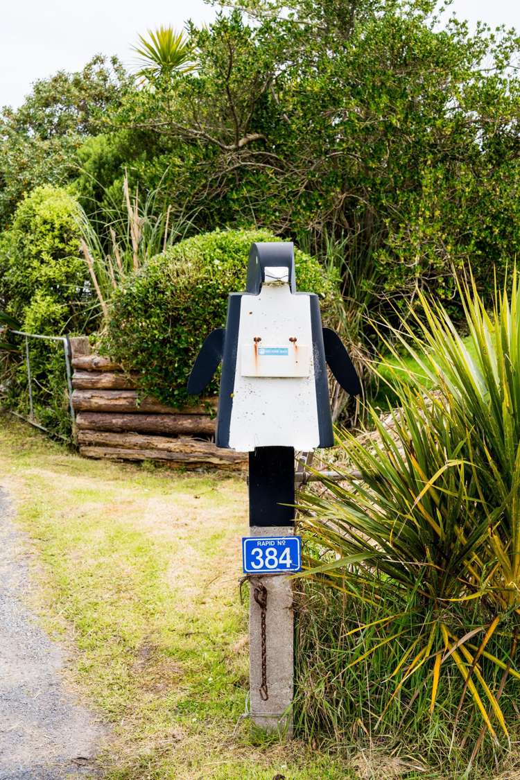 384 Taieri Mouth Road Kuri Bush_20