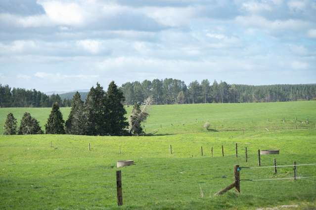 753 Pongakawa Bush Road Pongakawa_1