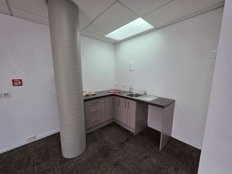 2 Kalmia Street Ellerslie_4