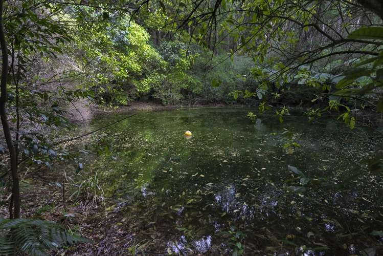 1863 Takaka-Collingwood Highway Collingwood_36