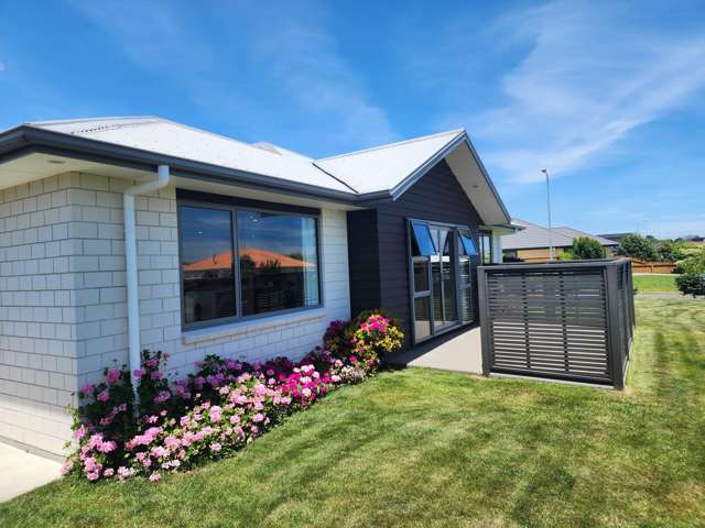 24 Barry Curtis Place Levin_1