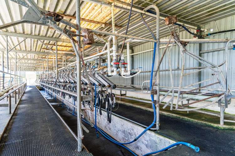 29 Keer Road Dargaville_8