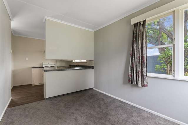 20A Mckenzie Street Levin_4