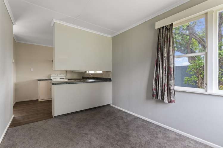 20A Mckenzie Street Levin_3