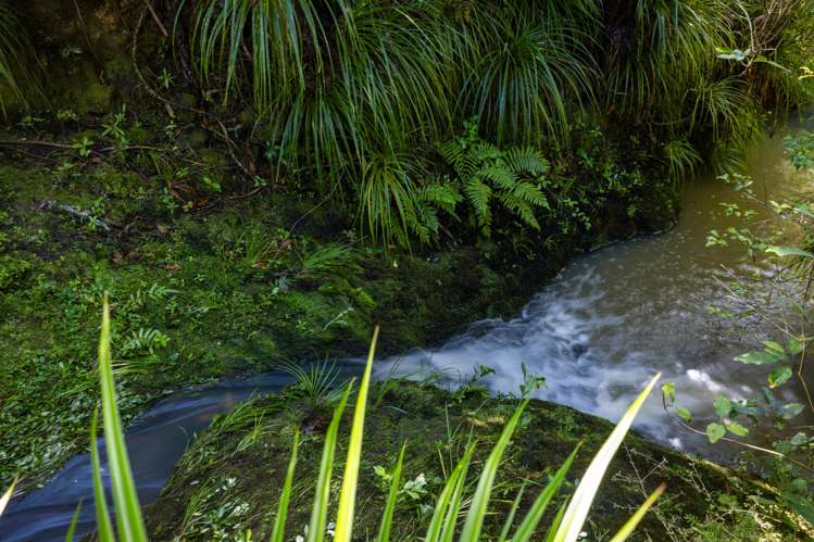 12 Albro Lane Algies Bay_17