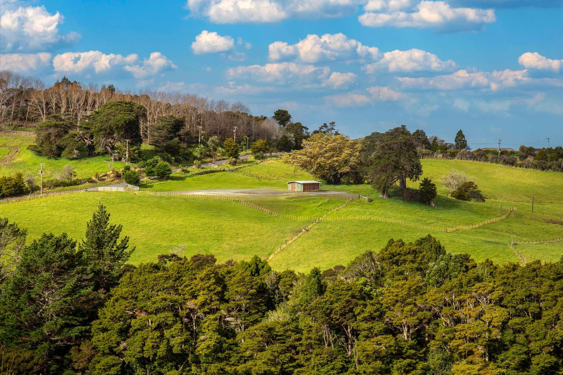 54 Kourataki Road Leigh_0