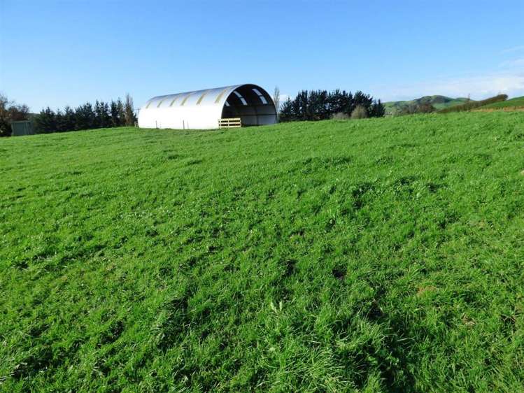 203/219 Paewhenua Road Maihiihi_27