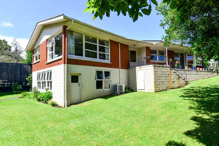 386 Ulster Street Beerescourt_7