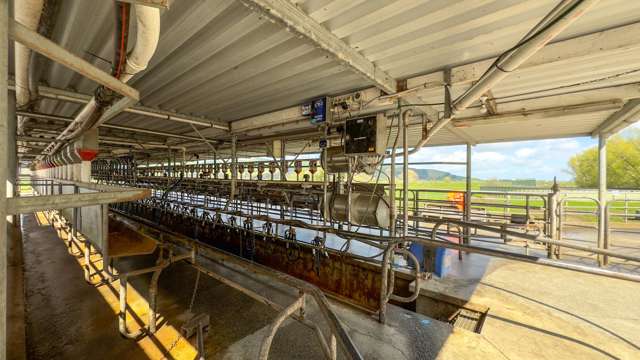 272 Rotokohu Road Paeroa_3