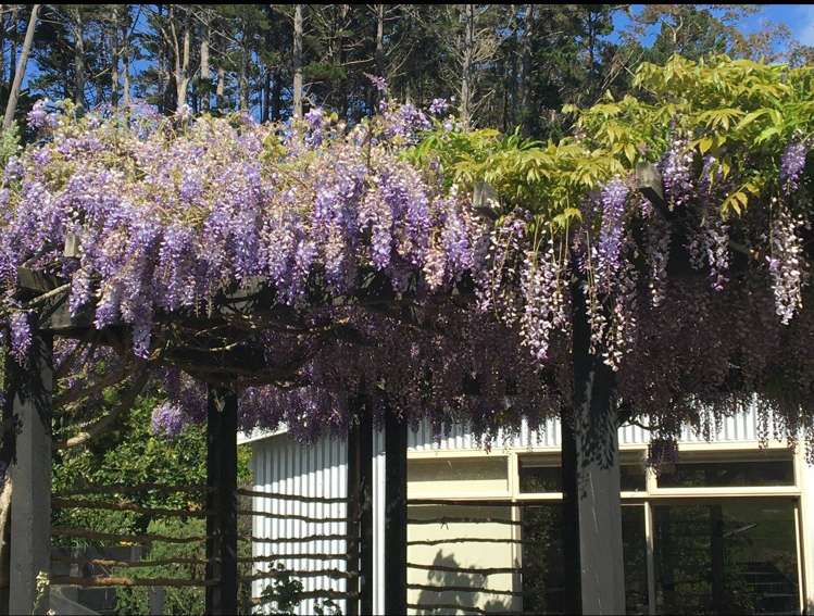 202e Cames Road Mangawhai_32