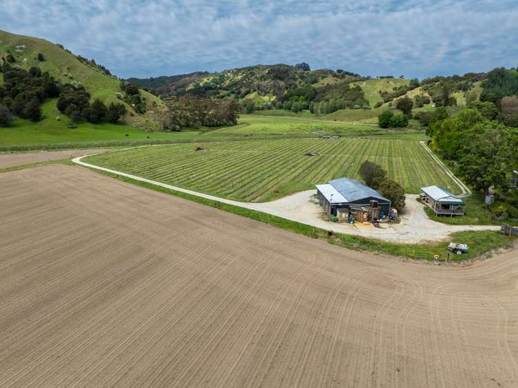 Whitmore Road Ormond_11